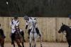 Oxford Polo 2023_01_08 0095